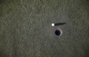 white round medication pill on green grass field